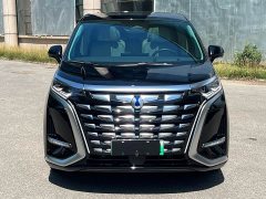 Denza D9 DM-i 980 four-wheel drive premium - фото 2