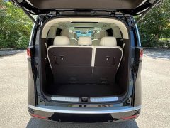 Denza D9 DM-i 980 four-wheel drive premium - фото 20