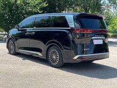 Denza D9 DM-i 980 four-wheel drive premium - фото 4