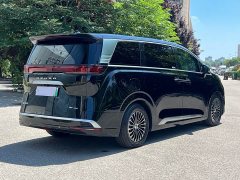 Denza D9 DM-i 980 four-wheel drive premium - фото 6