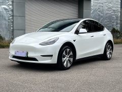 Tesla Model Y long-range all-wheel drive version - фото 1