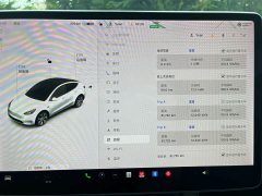 Tesla Model Y long-range all-wheel drive version - фото 11