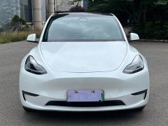 Tesla Model Y long-range all-wheel drive version - фото 2