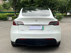 Tesla Model Y long-range all-wheel drive version - фото 5