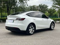 Tesla Model Y long-range all-wheel drive version - фото 6