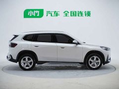BMW X1 sDrive20Li X-Line - фото 4