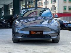 Tesla Model Y rear-wheel drive version - фото 2