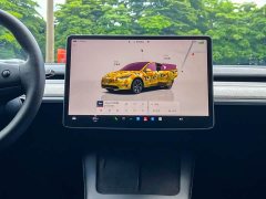Tesla Model Y rear-wheel drive version - фото 9
