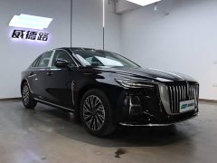 Hongqi H5 2025 2.0T automatic Qichang version - фото 4