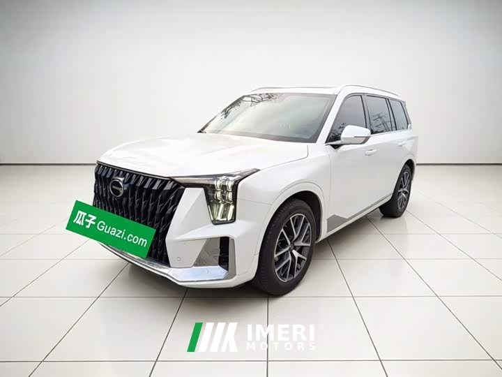 Trumpchi GS8 Dual Engine Series 2.0TM Two-wheel drive Premium Edition (seven seats)