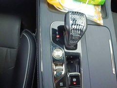Trumpchi GS8 Dual Engine Series 2.0TM Two-wheel drive Premium Edition (seven seats) - фото 10