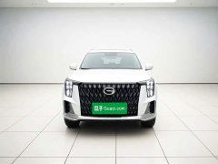 Trumpchi GS8 Dual Engine Series 2.0TM Two-wheel drive Premium Edition (seven seats) - фото 2