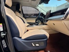 Tank 500 3.0T sports version, environment type, 5 seats - фото 10