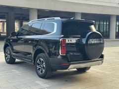 Tank 500 3.0T sports version, environment type, 5 seats - фото 4
