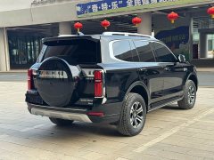 Tank 500 3.0T sports version, environment type, 5 seats - фото 5