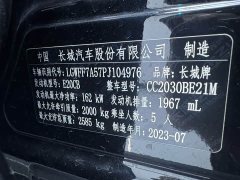 Tank 300 Off-Road Version 2.0T Conqueror - фото 8