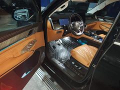 Tank 500 3.0T sports version, environment type, 7 seats - фото 17