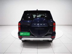 Tank 500 3.0T sports version, environment type, 7 seats - фото 5