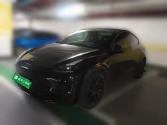 Tesla Model Y 2021 standard range rear-wheel drive version - фото 1