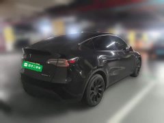 Tesla Model Y 2021 standard range rear-wheel drive version - фото 4