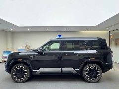 Fangchengbao Leopard 8 2025 Zhiyong flagship version 7 seats - фото 3