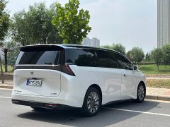 Buick Zhijing Family Luxury Edition - фото 9