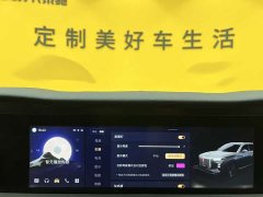 Hongqi E-HS9 660km Qichang version six seats - фото 15