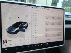 Tesla Model 3 2023 rear-wheel drive version - фото 6