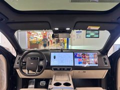 Li Auto Ideal L9 2022 Max - фото 19