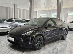Tesla Model Y rear-wheel drive version - фото 1