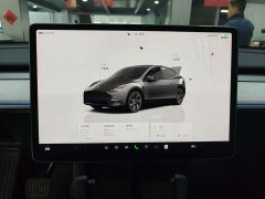 Tesla Model Y rear-wheel drive version - фото 4