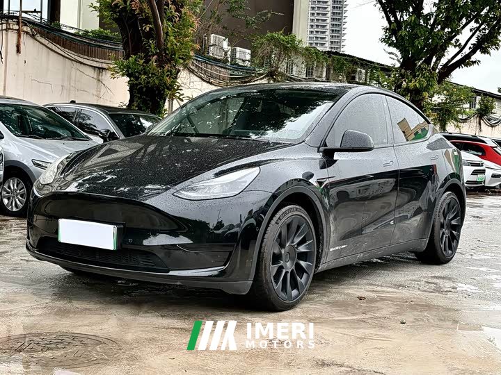 Tesla Model Y rear-wheel drive version - автомобиль из Китая