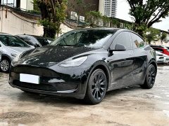 Tesla Model Y rear-wheel drive version - фото 1