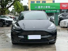 Tesla Model Y rear-wheel drive version - фото 2