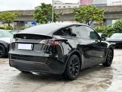 Tesla Model Y rear-wheel drive version - фото 7