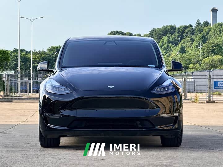 Tesla Model Y standard range rear-wheel drive version - автомобиль из Китая