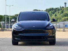 Tesla Model Y standard range rear-wheel drive version - фото 1