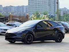 Tesla Model Y standard range rear-wheel drive version - фото 2