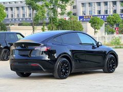 Tesla Model Y standard range rear-wheel drive version - фото 6