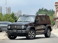 Tank 300 2021 City Edition 2.0T Very Stylish - фото 1
