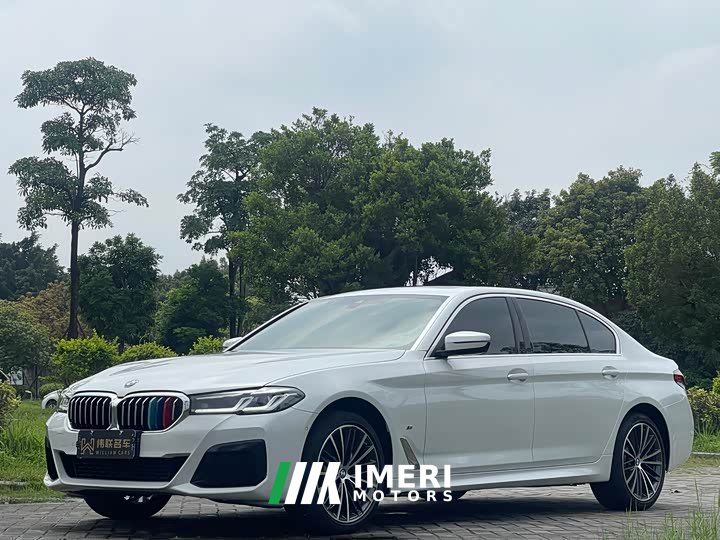 BMW 5 Series 530Li Leading M Sports Package - автомобиль из Китая