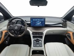 BYD Song Pro DM-i 2022 51km Premium - фото 5