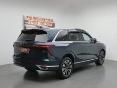 BYD Wei brand Lanshan 2023 four-wheel drive ultra-long range version - фото 2