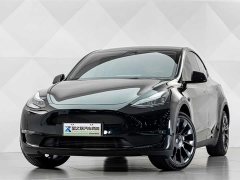 Tesla Model Y 2023 long-range all-wheel drive version - фото 2