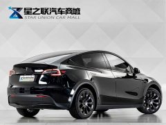 Tesla Model Y 2023 long-range all-wheel drive version - фото 6