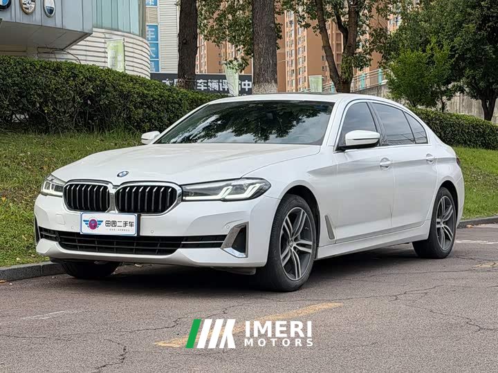 BMW 5 Series 530Li Leading Luxury Package - автомобиль из Китая