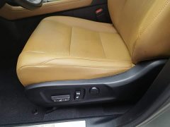 Lexus RX 2020 Facelift 300 AWD Elegant - фото 20