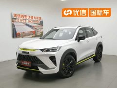 Haval H6S 2.0T two-wheel drive smart running version - фото 1