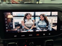 Haval Big Dog 1.5T DCT two-wheel drive Border Collie version - фото 13