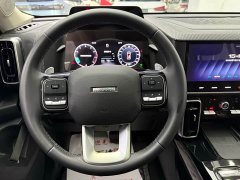 Haval Big Dog 1.5T DCT two-wheel drive Border Collie version - фото 19